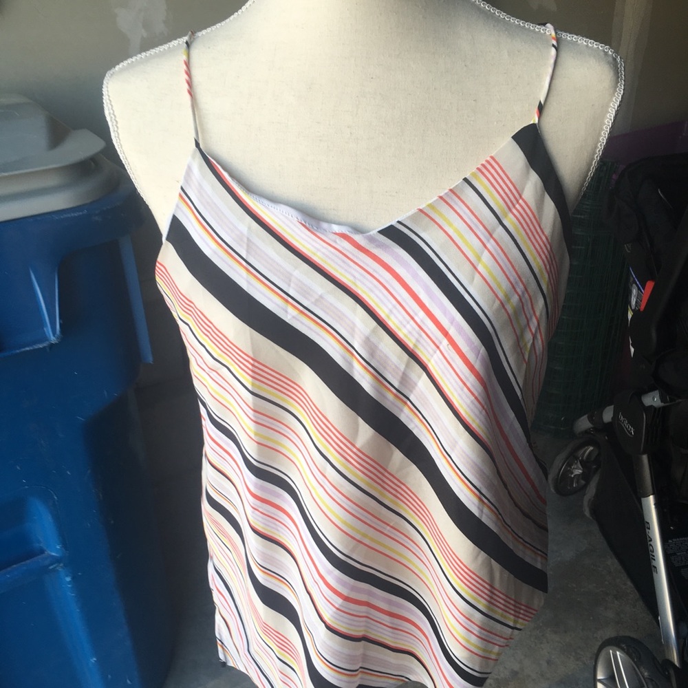The Limited Striped colorful top